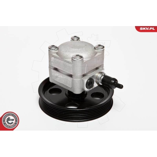 ESEN SKV Hydraulikpumpe, Lenkung