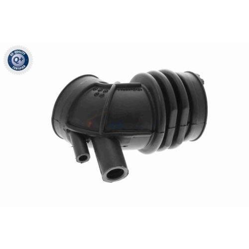 VAICO Ansaugschlauch, Luftfilter Q+, Erstausrüsterqualität