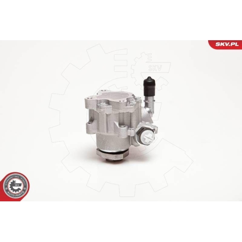 ESEN SKV Hydraulikpumpe, Lenkung