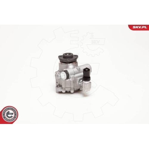 ESEN SKV Hydraulikpumpe, Lenkung