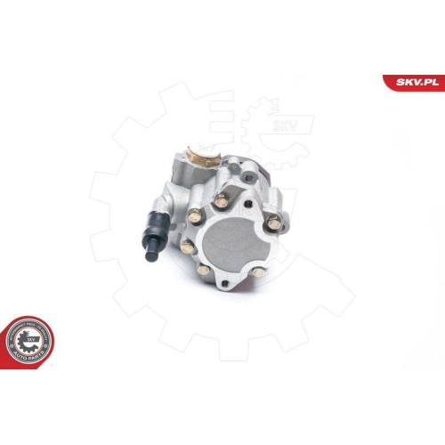 ESEN SKV Hydraulikpumpe, Lenkung