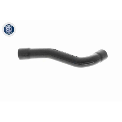 VAICO Schlauch, Kurbelgehäuseentlüftung Q+, Erstausrüsterqualität V30-0902