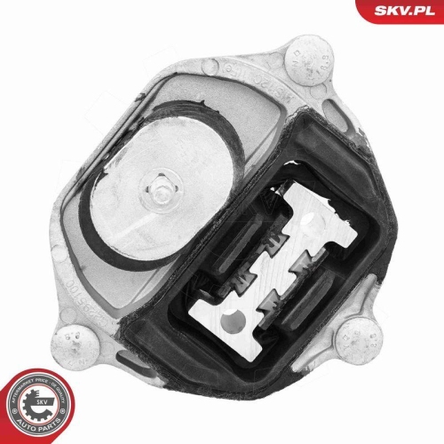 ESEN SKV Lagerung, Automatikgetriebe 75SKV821