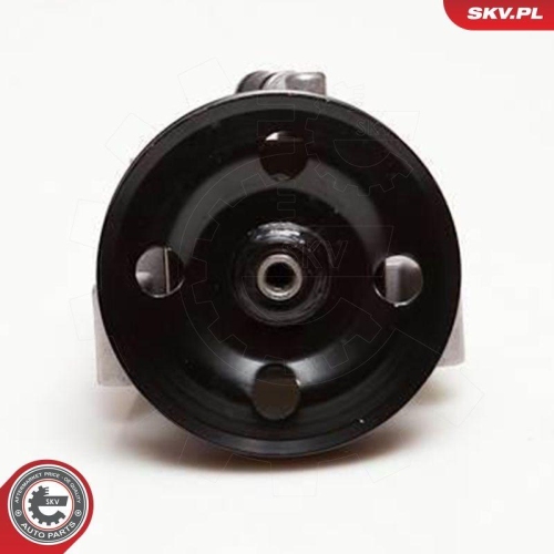 ESEN SKV Hydraulikpumpe, Lenkung 10SKV001