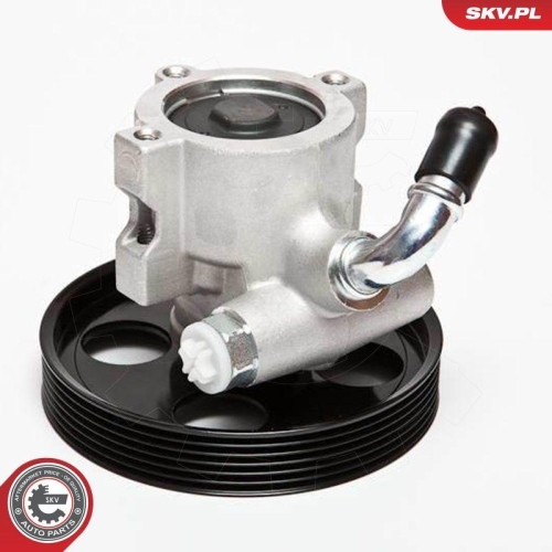 ESEN SKV Hydraulikpumpe, Lenkung 10SKV002