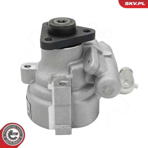 ESEN SKV Hydraulikpumpe, Lenkung 10SKV003