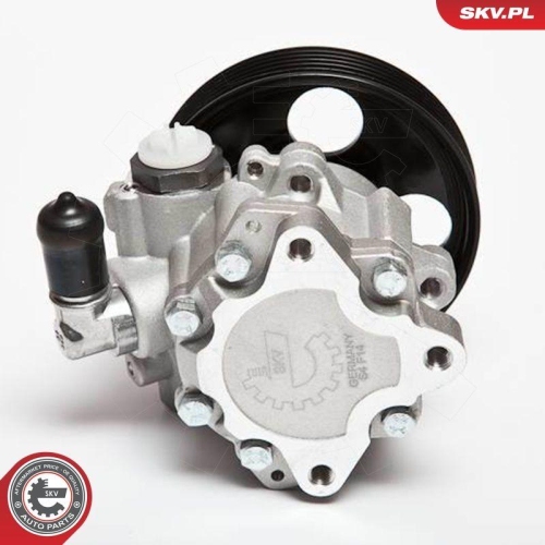 ESEN SKV Hydraulikpumpe, Lenkung 10SKV004