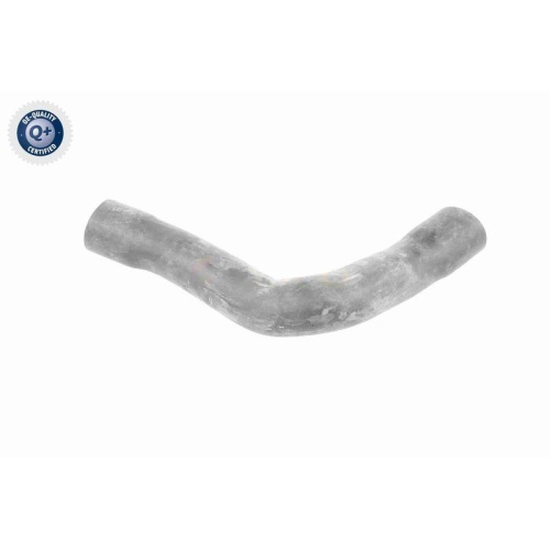 VAICO Ladeluftschlauch Q+, Erstausrüsterqualität V10-2909