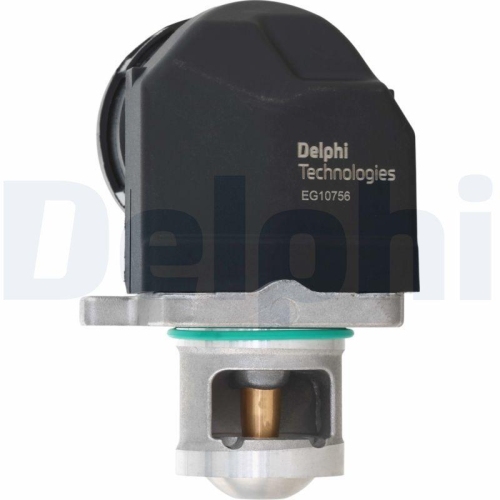 DELPHI AGR-Ventil EG10756-12B1
