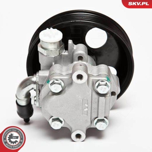 ESEN SKV Hydraulikpumpe, Lenkung 10SKV006