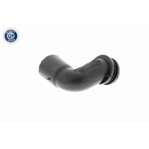 VAICO Schlauch, Kurbelgehäuseentlüftung Q+, Erstausrüsterqualität V30-1881