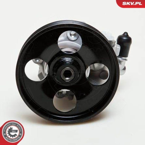 ESEN SKV Hydraulikpumpe, Lenkung 10SKV009
