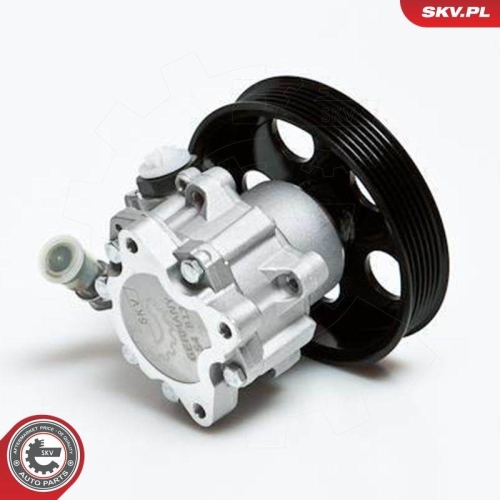 ESEN SKV Hydraulikpumpe, Lenkung 10SKV022