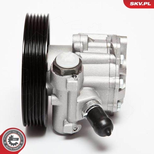 ESEN SKV Hydraulikpumpe, Lenkung 10SKV023