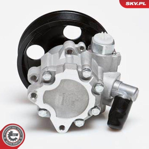 ESEN SKV Hydraulikpumpe, Lenkung 10SKV024