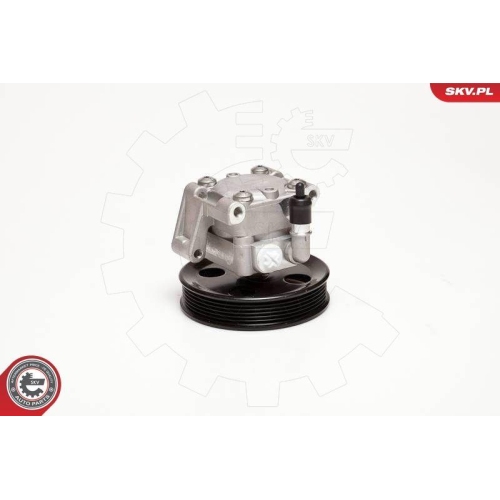 ESEN SKV Hydraulikpumpe, Lenkung