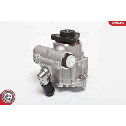 ESEN SKV Hydraulikpumpe, Lenkung