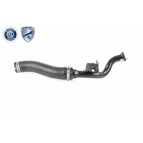 VAICO Ladeluftschlauch EXPERT KITS + V24-0722