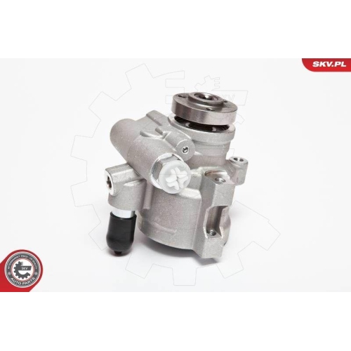 ESEN SKV Hydraulikpumpe, Lenkung