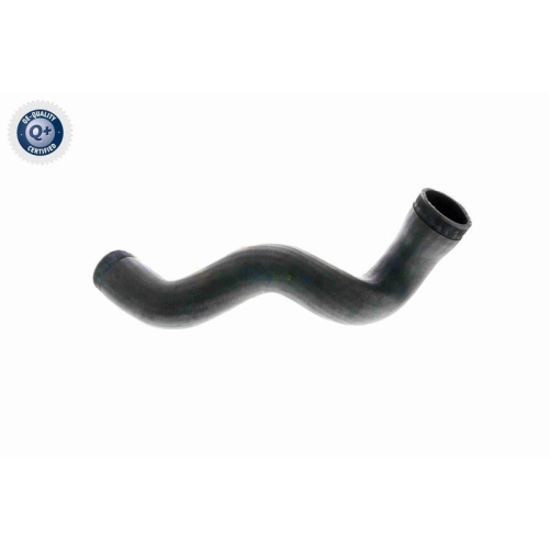 VAICO Ladeluftschlauch Q+, Erstausrüsterqualität V10-3141