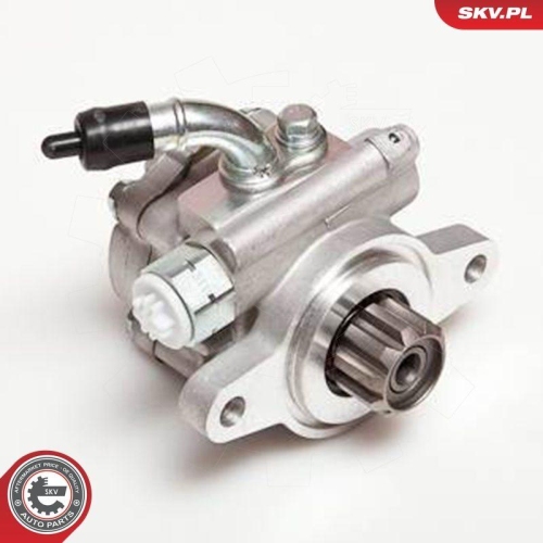 ESEN SKV Hydraulikpumpe, Lenkung 10SKV032