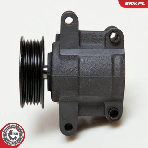 ESEN SKV Hydraulikpumpe, Lenkung 10SKV035