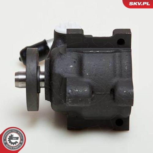 ESEN SKV Hydraulikpumpe, Lenkung 10SKV036