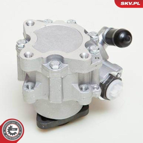 ESEN SKV Hydraulikpumpe, Lenkung 10SKV049