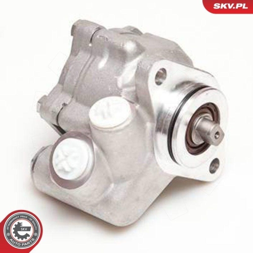 ESEN SKV Hydraulikpumpe, Lenkung 10SKV051