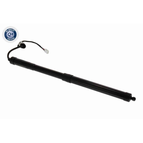 ACKOJA Elektromotor, Heckklappe Green Mobility Parts A70-55-0011