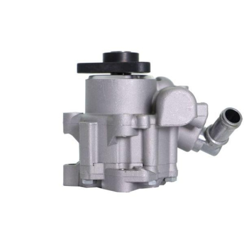 LAUBER Hydraulikpumpe, Lenkung 55.1659