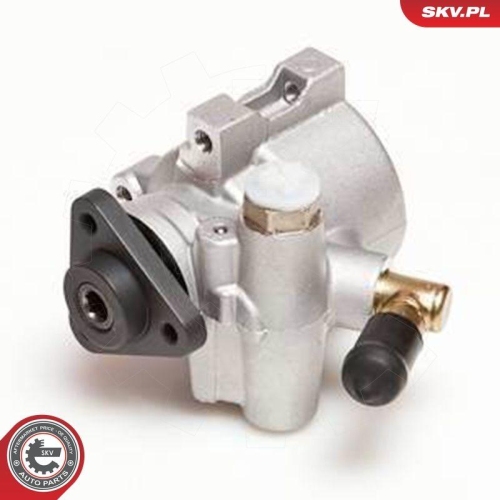 ESEN SKV Hydraulikpumpe, Lenkung 10SKV053