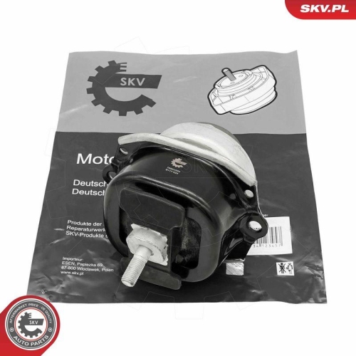 ESEN SKV Lagerung, Motor 75SKV254