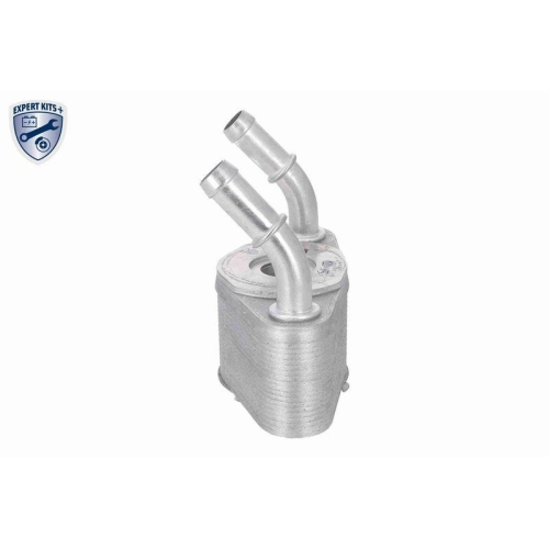 VEMO Ölkühler, Motoröl EXPERT KITS + V25-60-0065