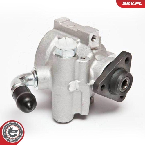 ESEN SKV Hydraulikpumpe, Lenkung 10SKV064