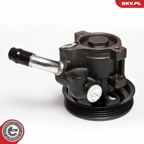 ESEN SKV Hydraulikpumpe, Lenkung 10SKV065