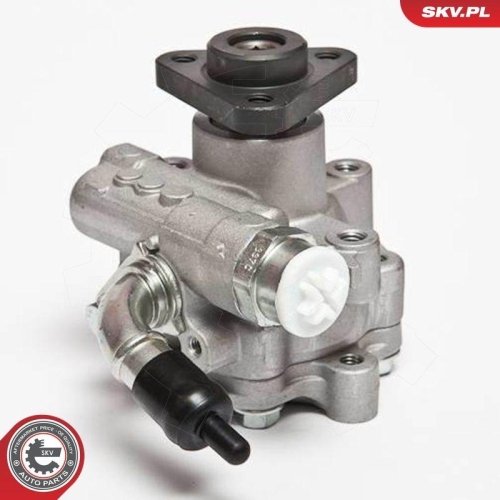ESEN SKV Hydraulikpumpe, Lenkung 10SKV075