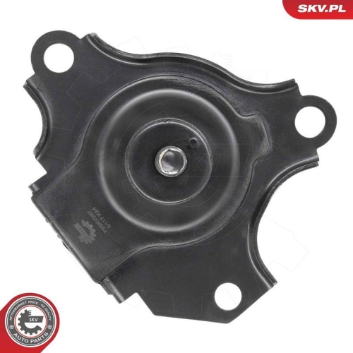 ESEN SKV Lagerung, Motor 75SKV267