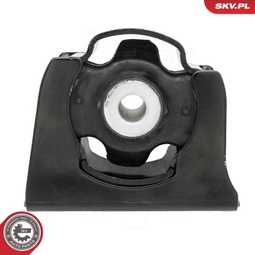 ESEN SKV Lagerung, Motor 75SKV309