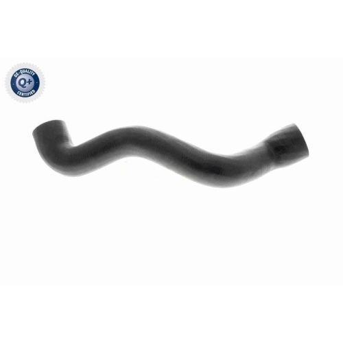 VAICO Kühlerschlauch Q+, Erstausrüsterqualität V20-3329