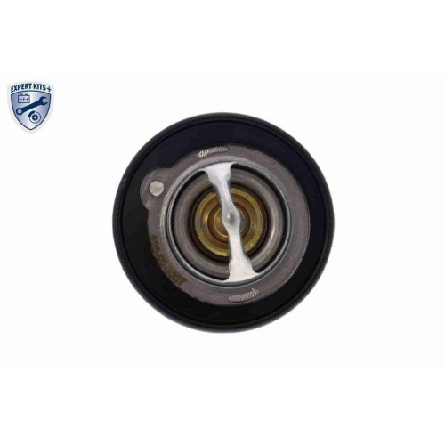 ACKOJA Thermostat, K&uuml;hlmittel EXPERT KITS + A26-99-0007