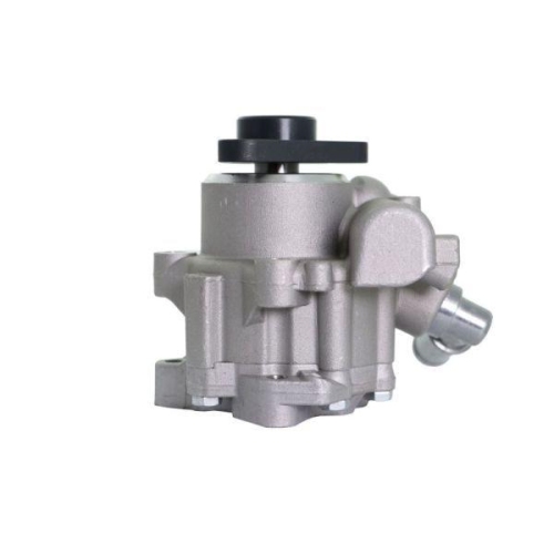 LAUBER Hydraulikpumpe, Lenkung 55.0982