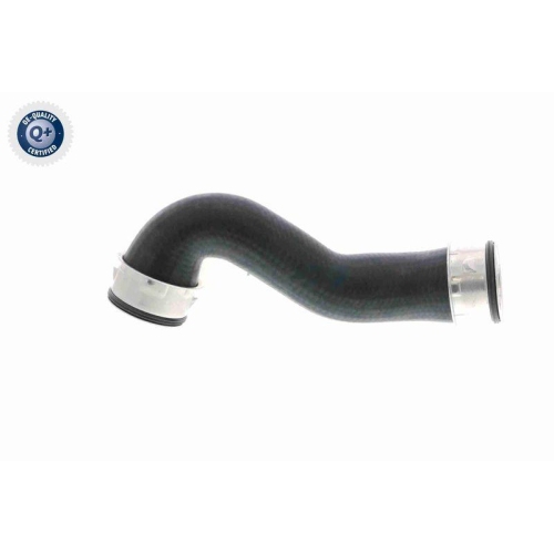 VAICO Ladeluftschlauch Q+, Erstausrüsterqualität V10-3761