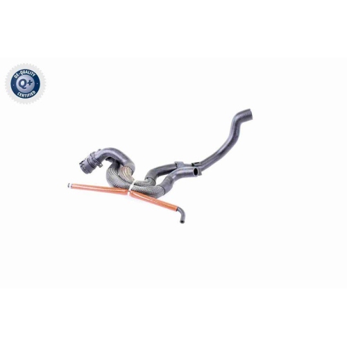 VAICO Kühlerschlauch Q+, Erstausrüsterqualität V10-3910