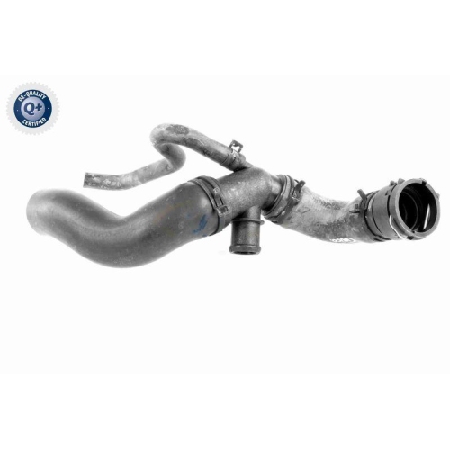 VAICO Kühlerschlauch Q+, Erstausrüsterqualität V10-3915