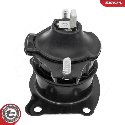 ESEN SKV Lagerung, Motor 75SKV319