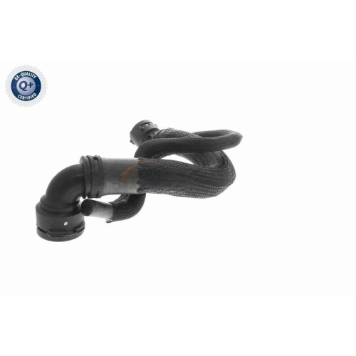 VAICO Kühlerschlauch Q+, Erstausrüsterqualität V10-4289