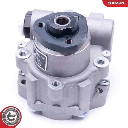 ESEN SKV Hydraulikpumpe, Lenkung 10SKV172