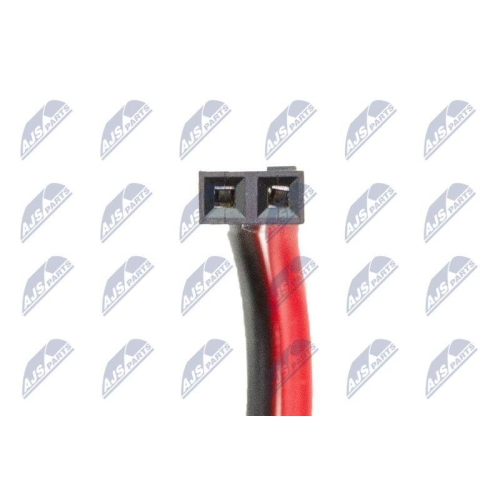NTY Kennzeichenleuchte ELP-AU-001