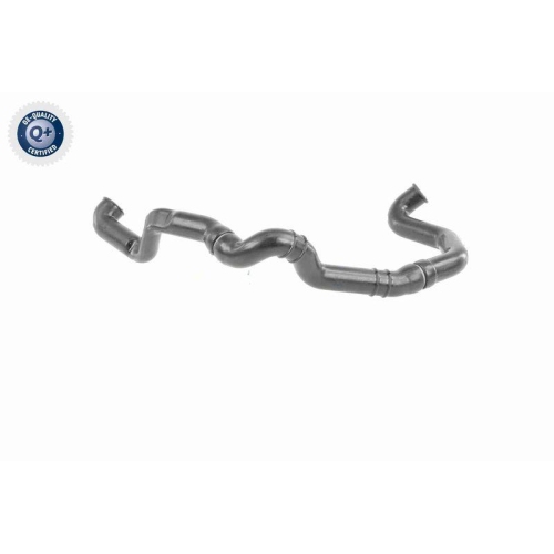 VAICO Schlauch, Zylinderkopfhaubenentlüftung Q+, Erstausrüsterqualität